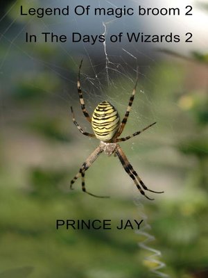 cover image of Legend of Magic Broom 2